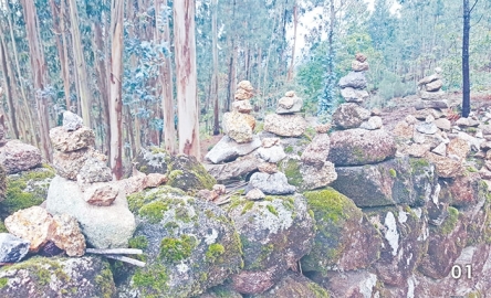 【聖雅各伯路上】山中十架與最後騎士〔作者︰瑪利亞文〕封面