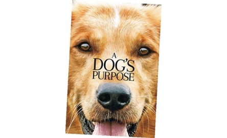 【電影X通識】再見亦是狗朋友 A Dog’s Purpose封面