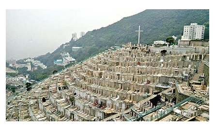【言在行】悼姨母封面