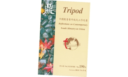 中國青年牧民工作反省 封面