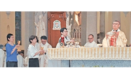 P2B_500