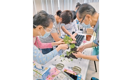 【明愛】心靈綠洲：園藝治療小組的點滴回憶封面