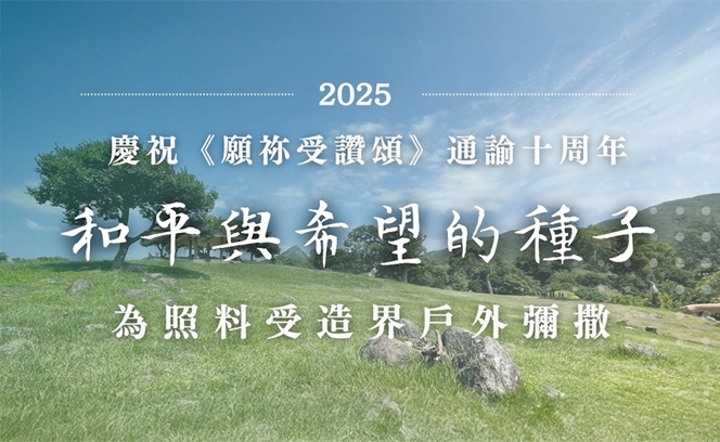 全委會 15:8   3