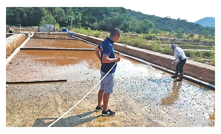 鹽田梓遭颱風破壞 呼籲義工協助善後封面