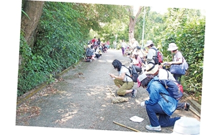 大嶼山聖母神樂院 大自然朝聖之旅封面