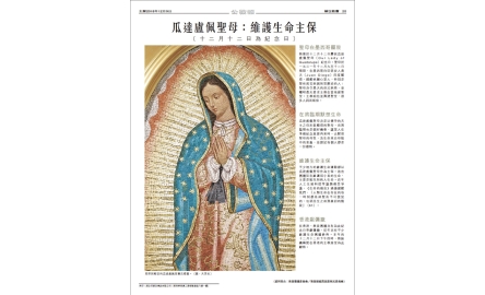 瓜達盧佩聖母：維護生命主保 封面