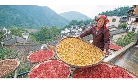 宗座科學院峰會 探討社會廢棄食物問題封面