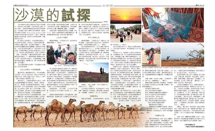 沙漠的試探封面