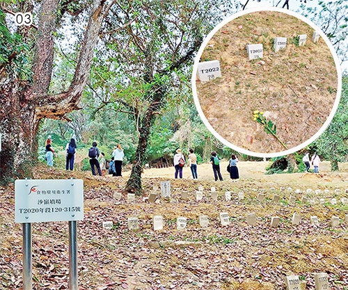 本頁圖片/檔案 - 08.03_500