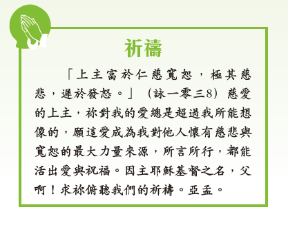 本頁圖片/檔案 - 螢幕快照 2025-02-19 下午3.36.39