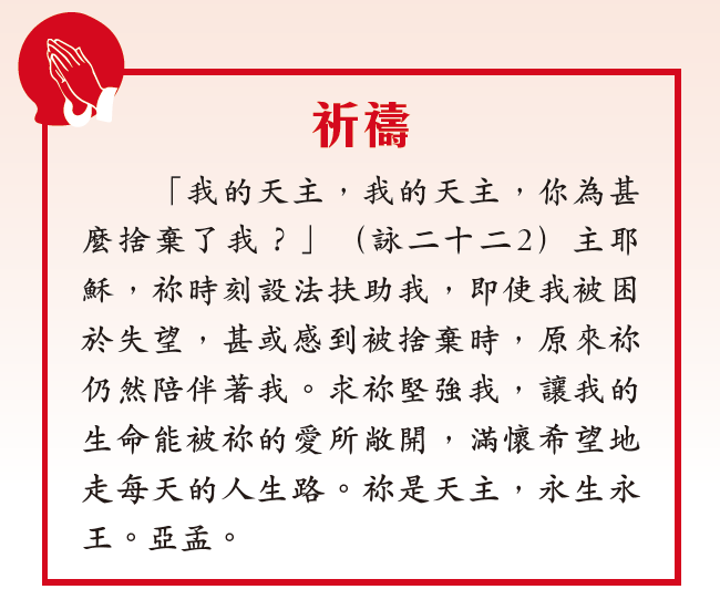 本頁圖片/檔案 - 螢幕快照 2025-04-09 下午3.03.52