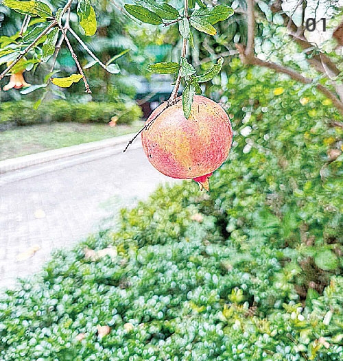 本頁圖片/檔案 - kkp14a_20250803_01_500_p1