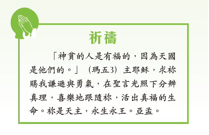 本頁圖片/檔案 - 01 02 2026。pg 6